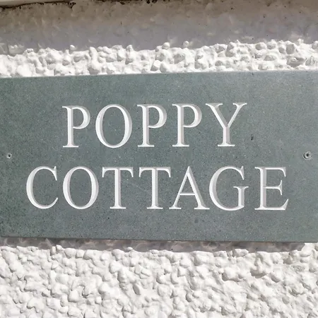 Poppy